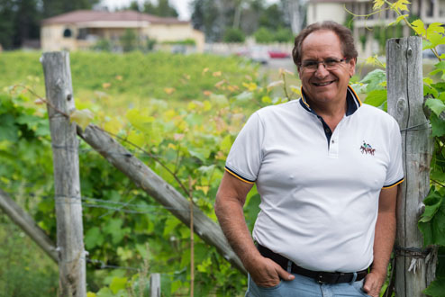 Vignoble Carpinteri Inc L Ordre National Du Merite Agricole Onma Vignoble Carpinteri Inc L Ordre National Du Merite Agricole Onma